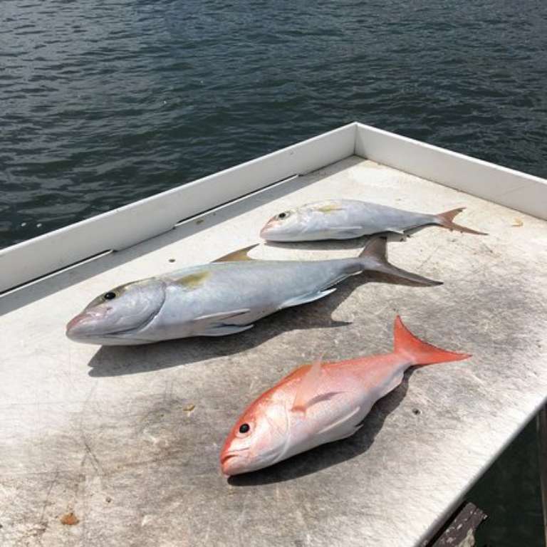 Chasin Finz Sport Fishing Charter