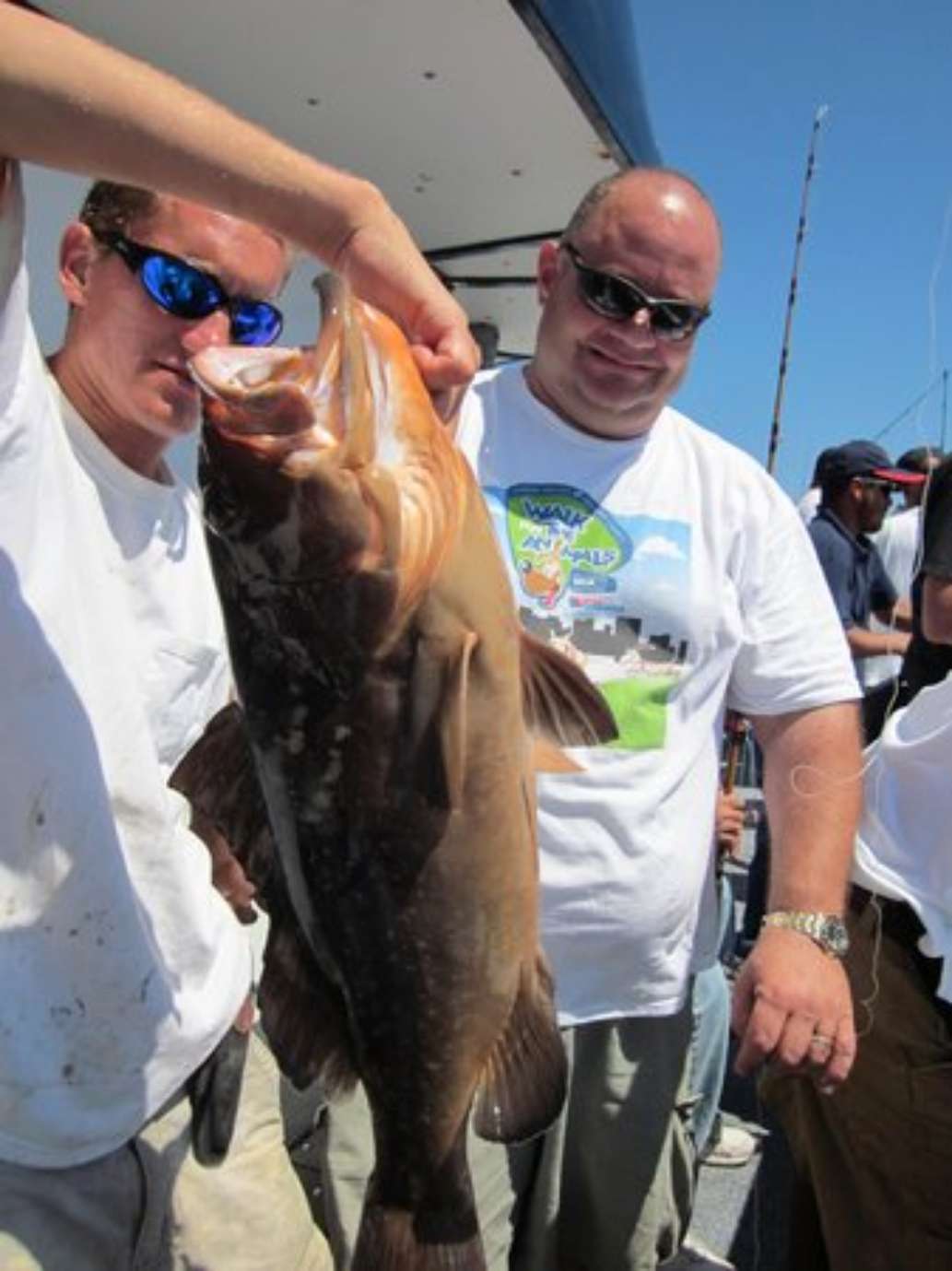 Sea Legs Deep Sea Fishing