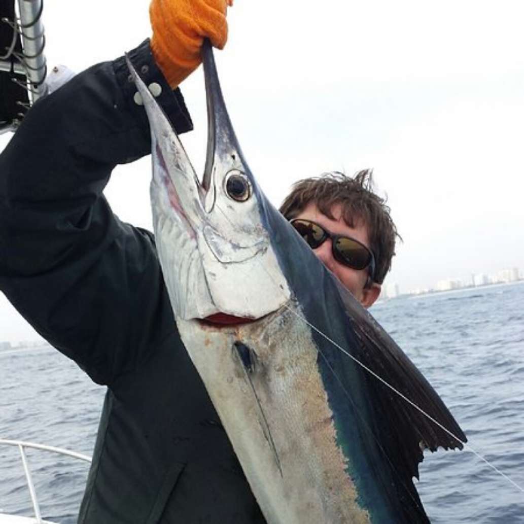 Lauderdale.fish