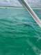 Shell Island Blue Dolphin Tours