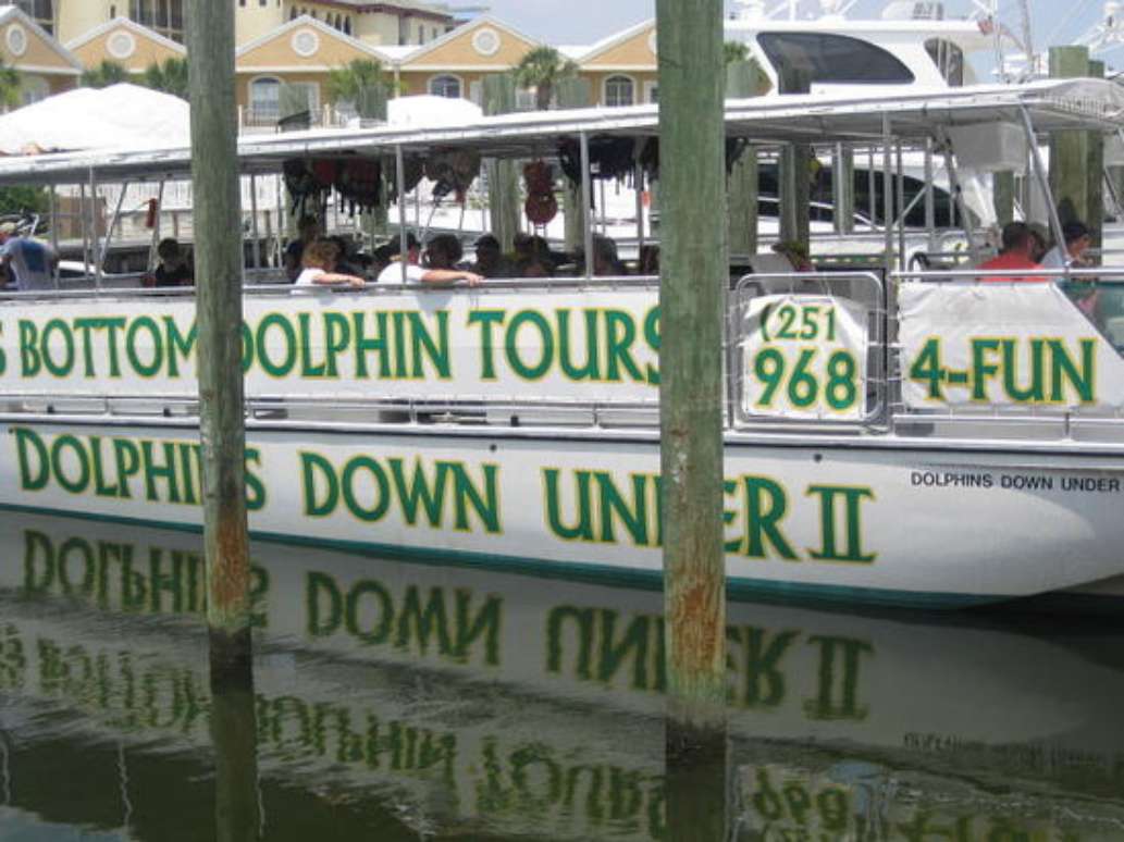 Glass Bottom Dolphin Tours