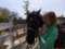 Sunshine Riding Trails - Day Tours