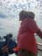 Cetacean Cruises