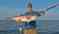 Booyah Fishing Charters