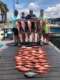 Dark Side Charters