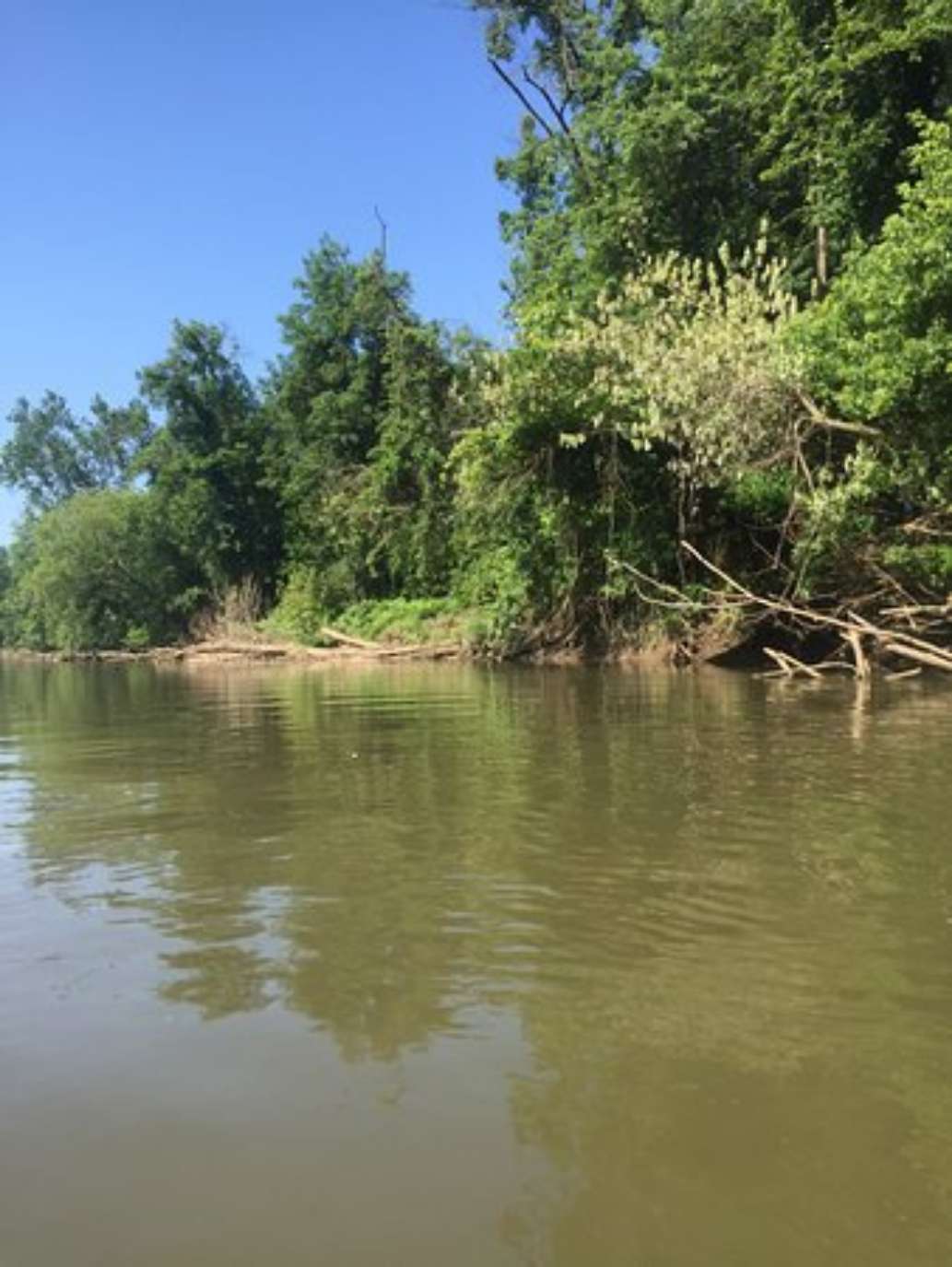 Cocoa Kayaking