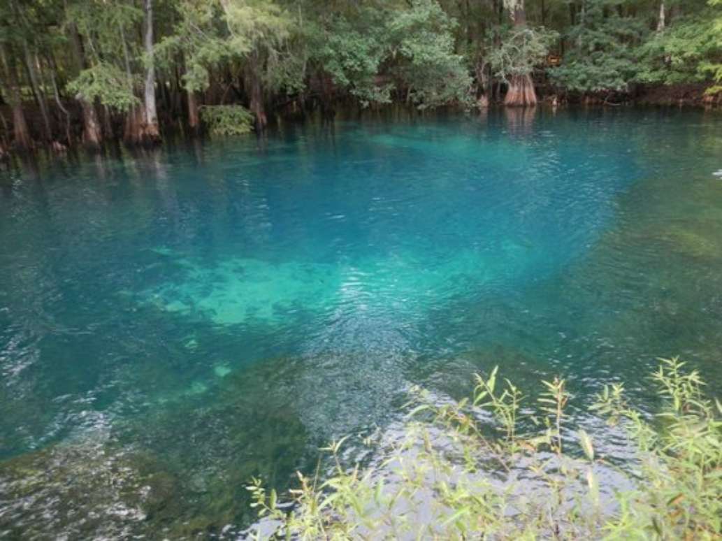 Florida Eco-Adventures- Day Tours