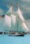 Liberty Fleet of Tall Ships