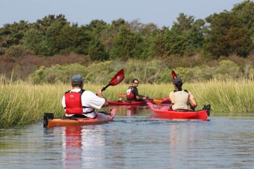 Cape Kayaking