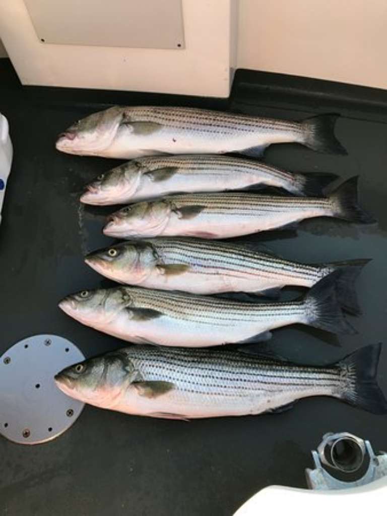 Sportfishing on the Luau