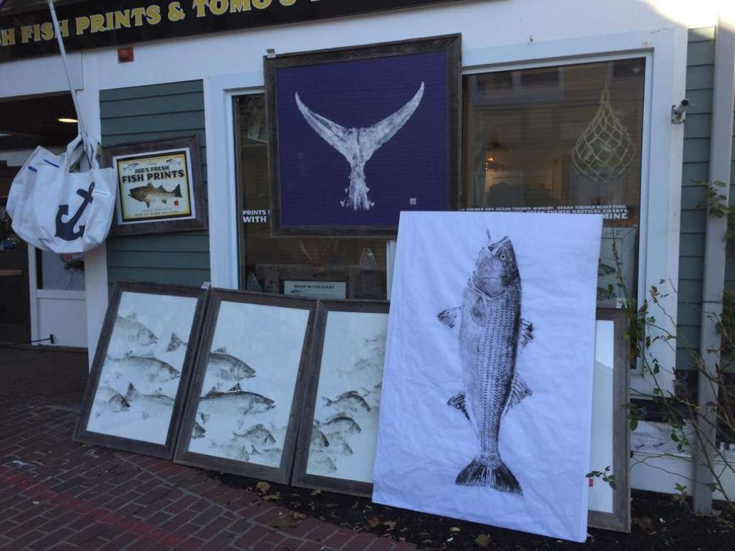 Fished Impressions