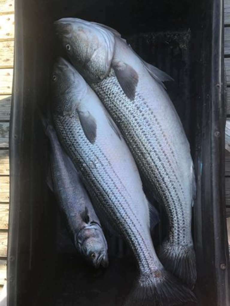 Crunch Time Sport Fishing