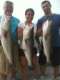 Orient Point Sportfishing/Black Rock