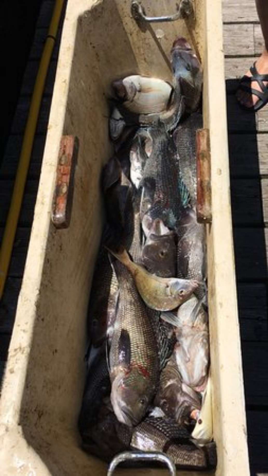 Flaherty Charters