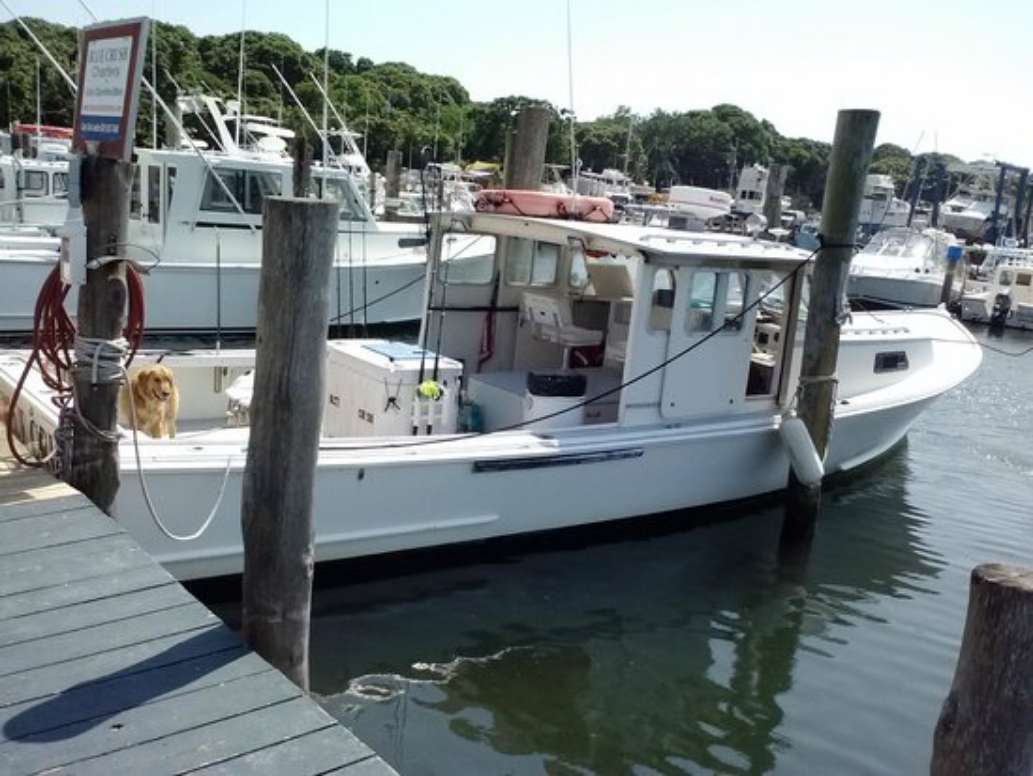 Blue Crush Charters