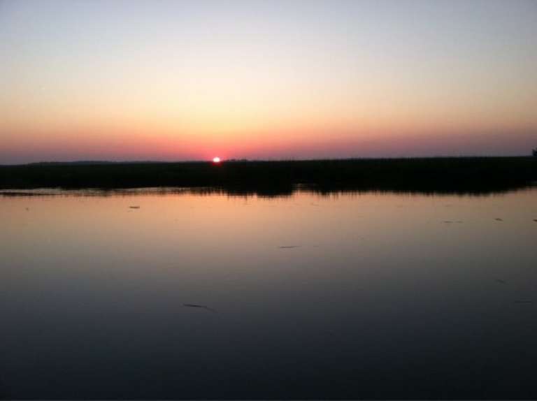 Thompson's Inshore Fishing Charters