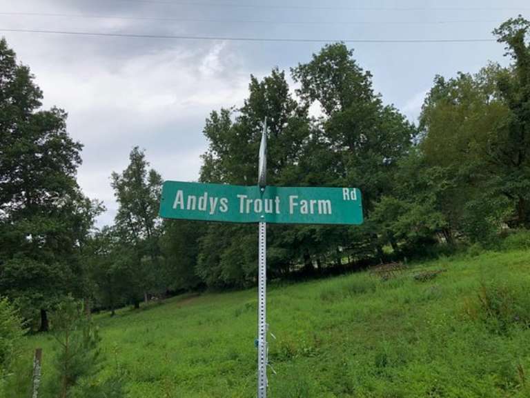 Andy's Trout Farm