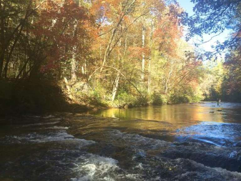 Fern Valley on the Soque