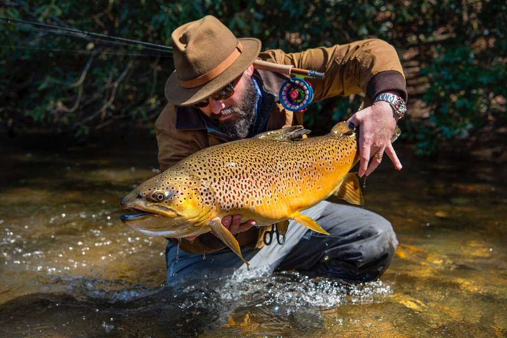 Fly Shop Company