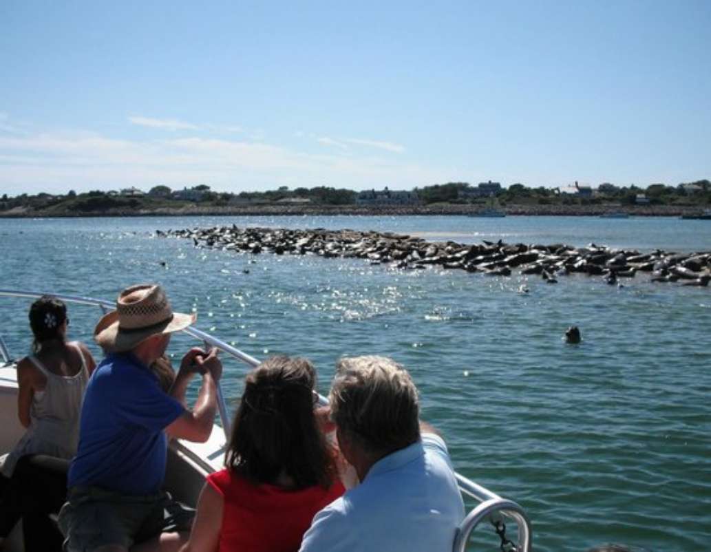 Blue Claw Boat Tours