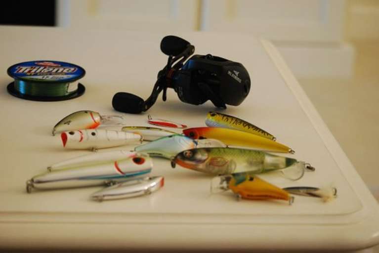 Cape Fresh Fishing Tours