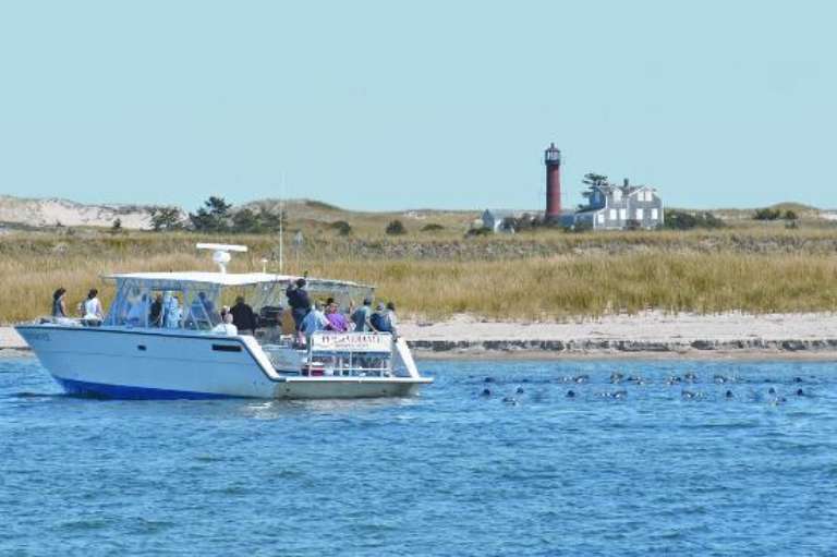 Monomoy Island Excursions