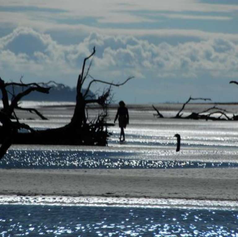 Savannah Coastal Ecotours