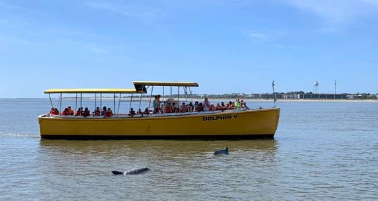 Captain Mike's Dolphin Tours