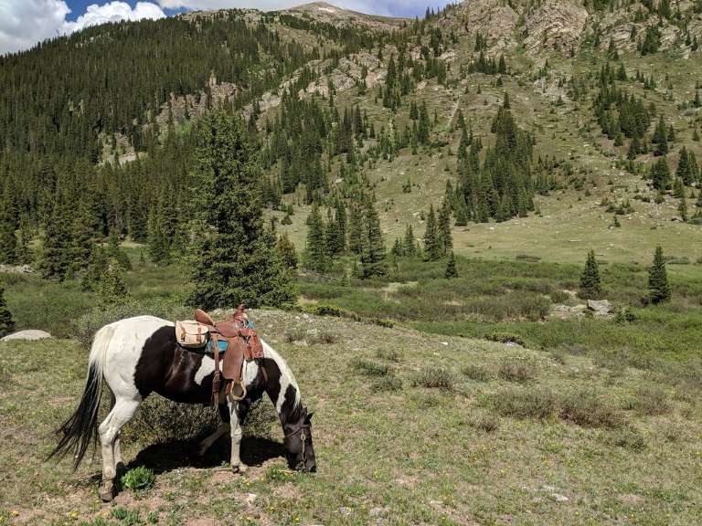 Independence Pass Outfitting Company