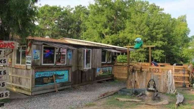 Champagne's Cajun Swamp Tours