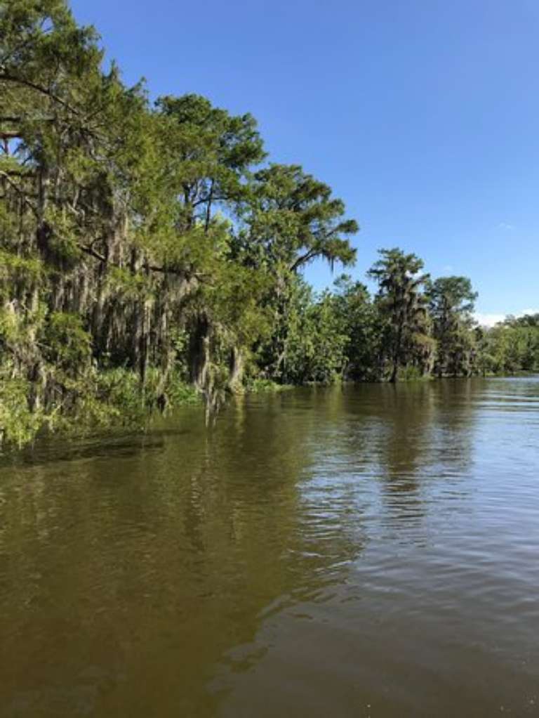 Torres Cajun Swamp Tours