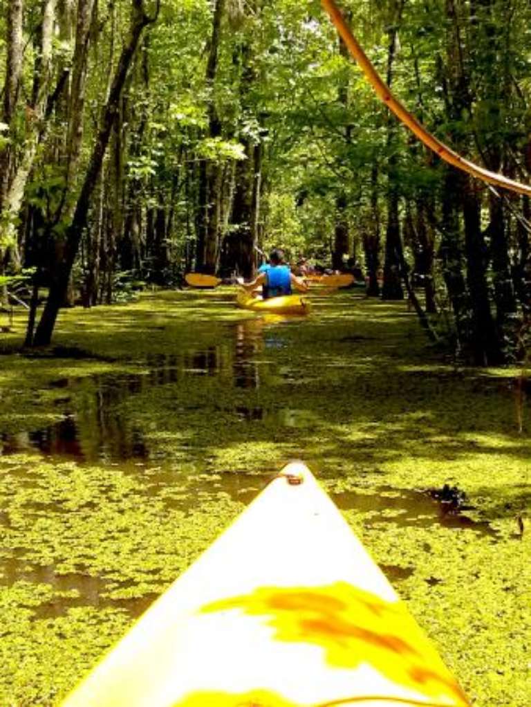 Louisiana Lost Lands Environmental Tours
