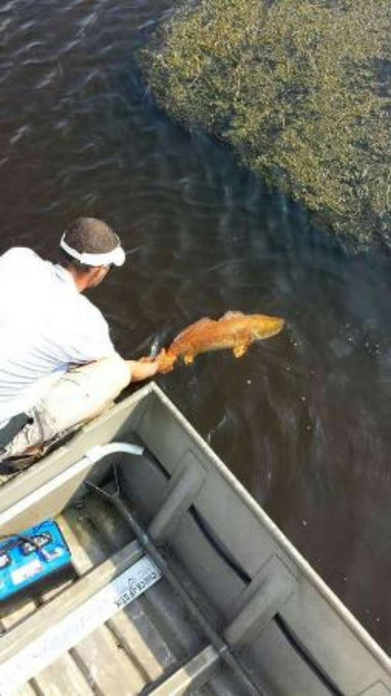 Muddy Waters Guide Services