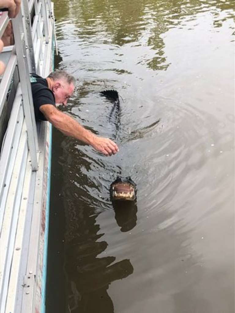Cajun Critters Swamp Tour