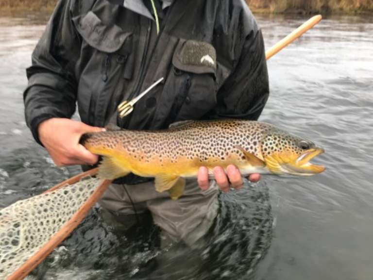 Headhunters Fly Fishing