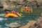 Glacier Raft Company