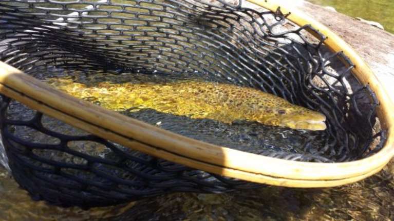 Montana Fishing Outfitters