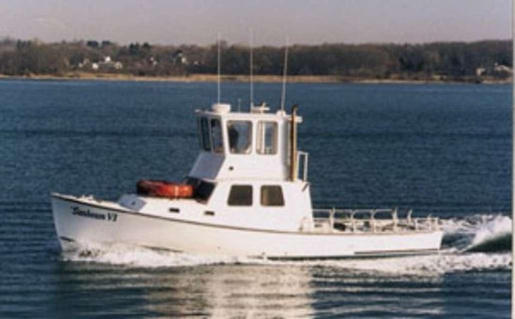 Sunbeam Fleet