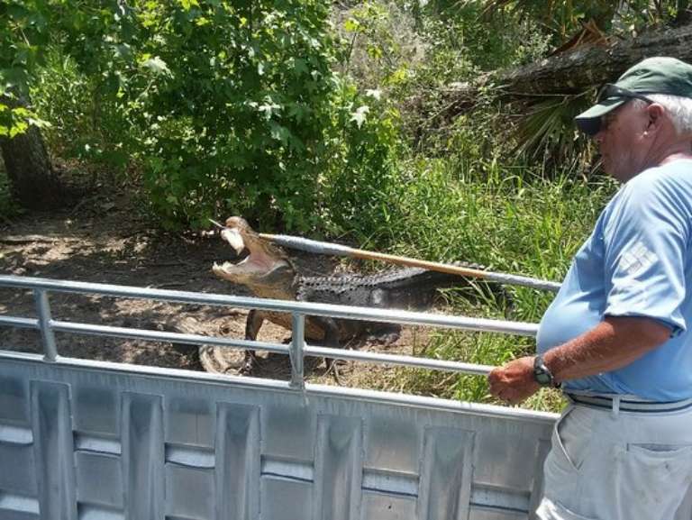 Annie Miller's Son's Swamp and Marsh Tours