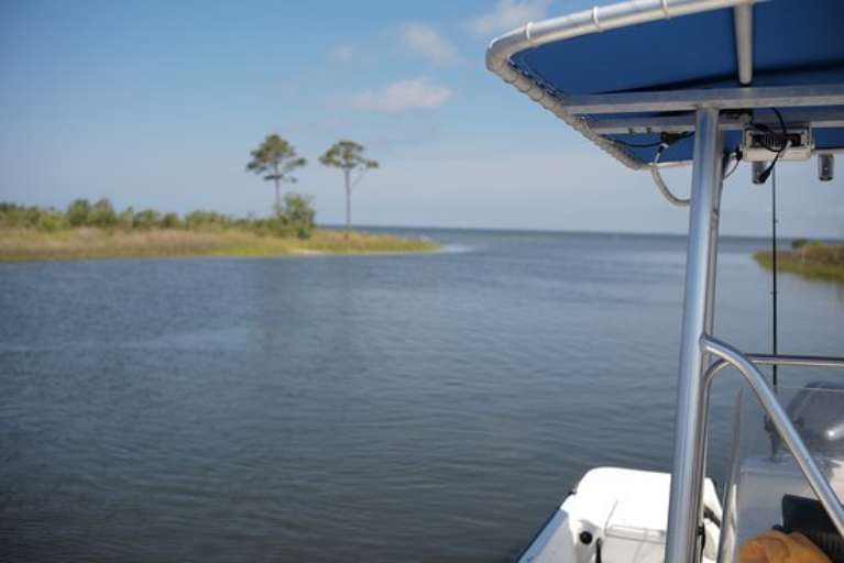 Ambush Fishing Charters