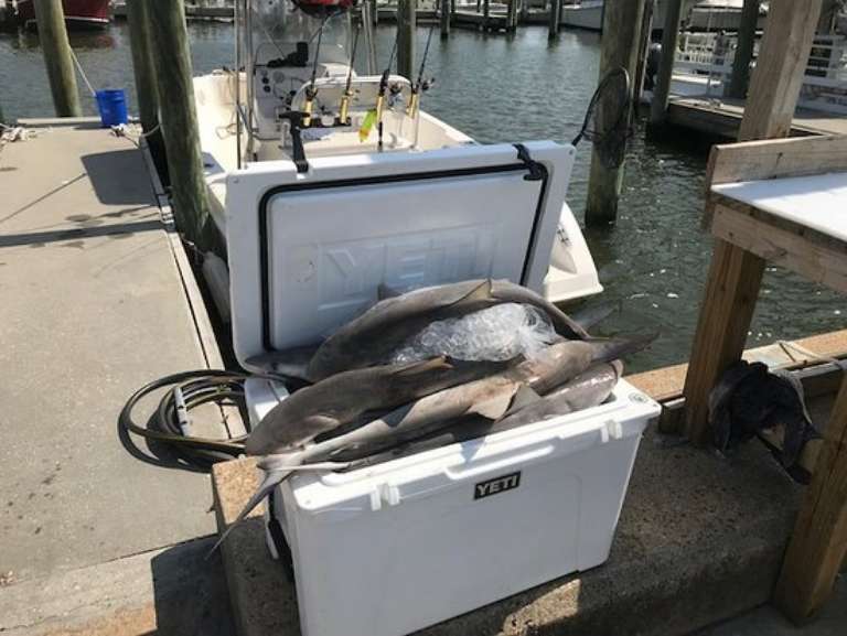 Island Time Charters