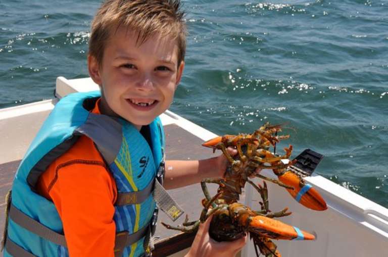 Sunrise Adventure Charters and Lobster Tours