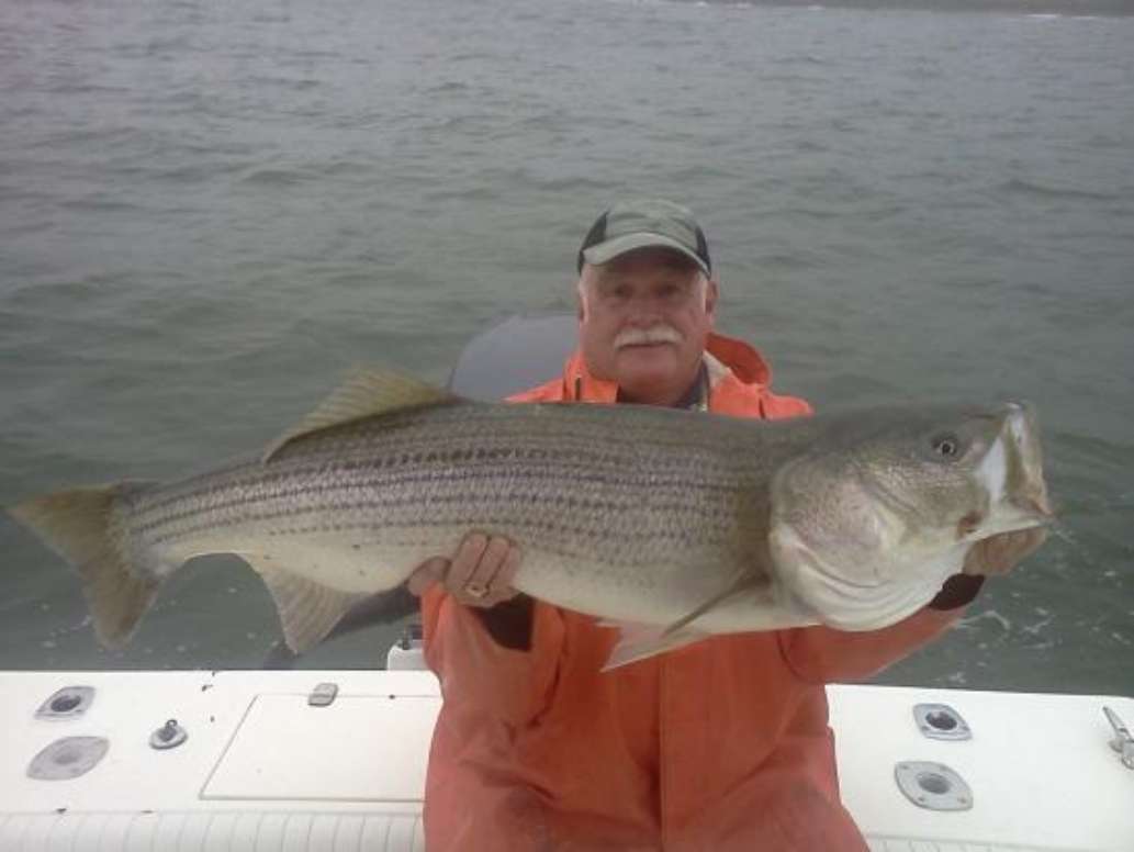 Shoals Fly Fishing and Light Tackle