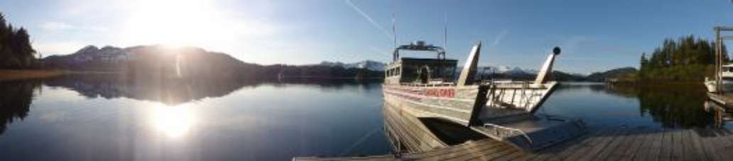 Lazy Otter Charters
