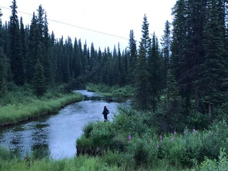 49th State Fishing Excursions