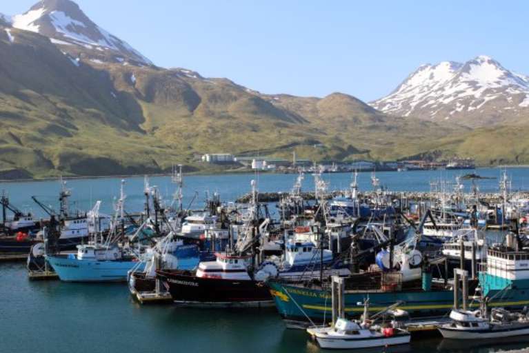 The Extra Mile Tours