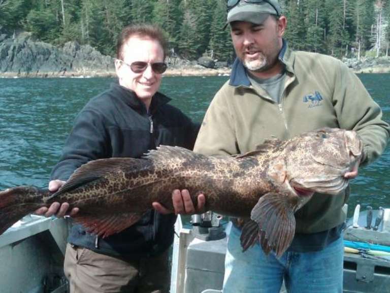 Dalin Charters and Guiding