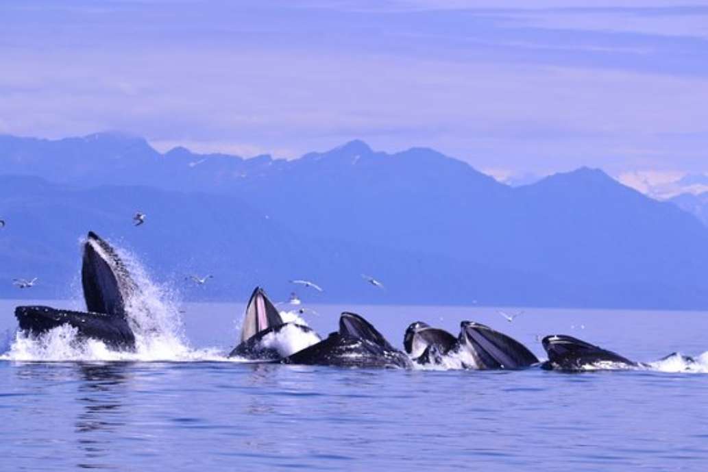 Alaska Passages