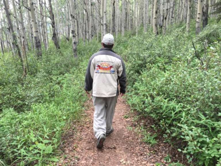 Greatland Taxi and Tours Service