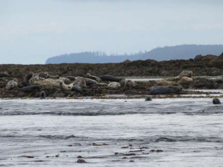 Lucky Chance Guide Service